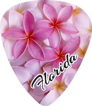 Plumeria 2