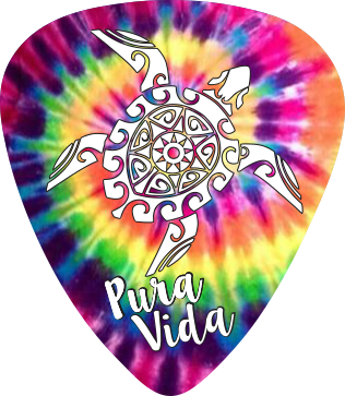 Tie Dye Turtle