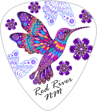 Hummingbird – Red River, New Mexico Guitar Picks (40 Pack)