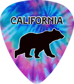 Bear Tie Dye