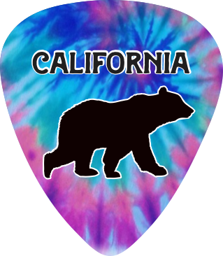 Bear Tie Dye