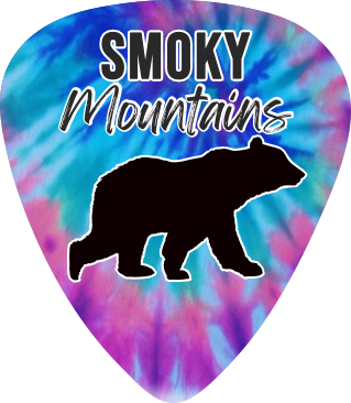 Bear Tie Dye