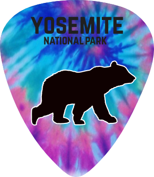 Bear Tie Dye