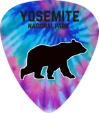 Bear Tie Dye
