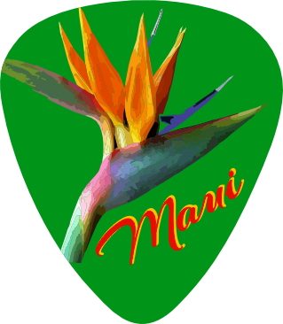 Bird of Paradise