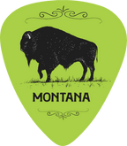 Buffalo