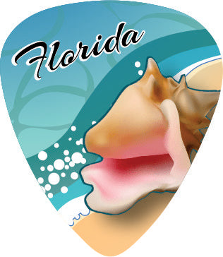 Conch