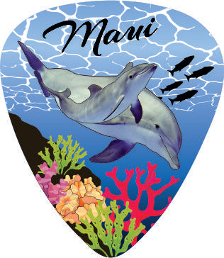 Dolphin Dream