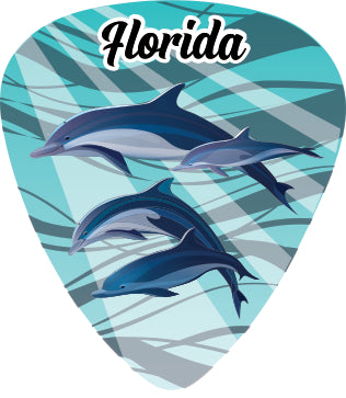 Dolphin Family