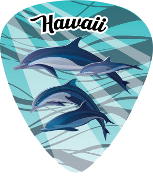 Dolphin Family