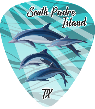 Dolphin Family