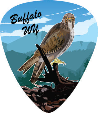 Falcon