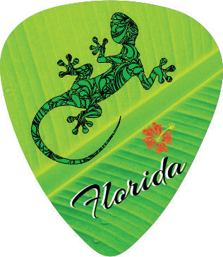 Gecko