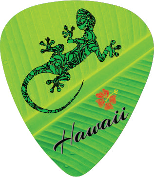 Gecko