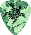 Green Turtle