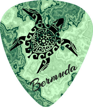 Green Turtle