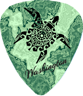Green Turtle