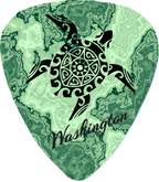 Green Turtle