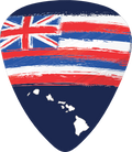 HI Flag