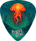 Jellyfish