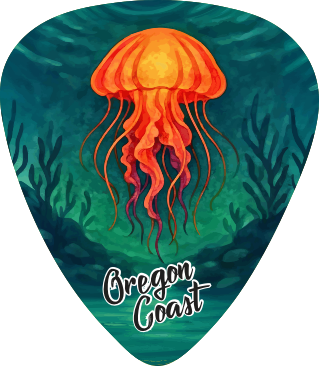 Jellyfish