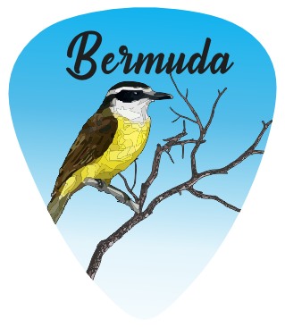 Kiskadee