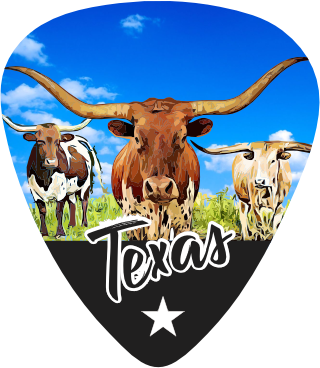 Longhorn Cattle