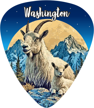 Mountain Goat