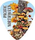 Mushrooms