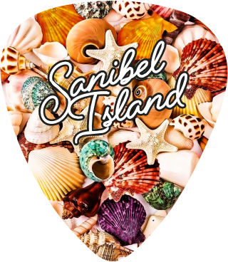 Ocean Shells