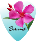 Oleander