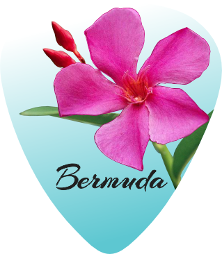 Oleander