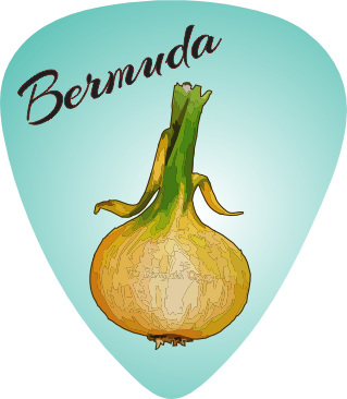 Onion