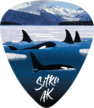 Orca Pod