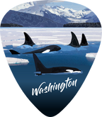 Orca Pod