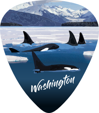 Orca Pod
