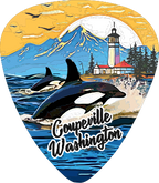 Orcas 2