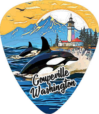 Orcas 2