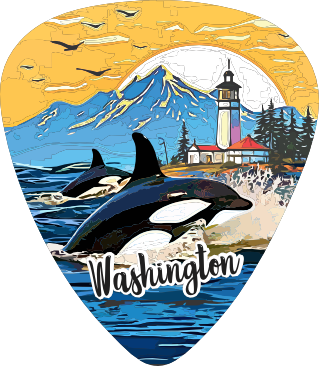 Orcas 2