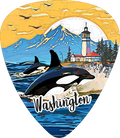 Orcas 2