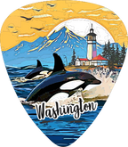 Orcas 2