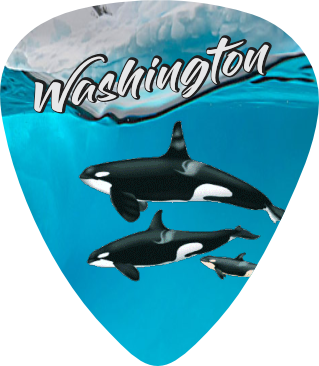 Orcas