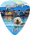 Otter 2