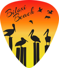 Pelicans
