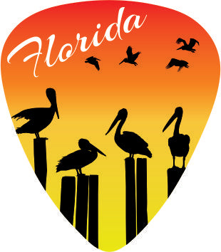 Pelicans
