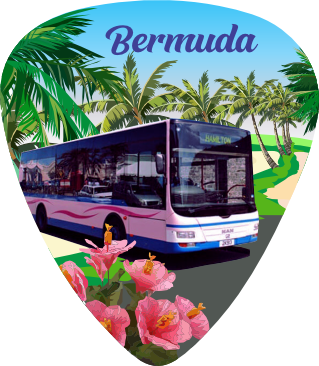 Pink Bus