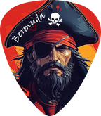 Pirate 2