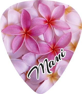Plumeria 2