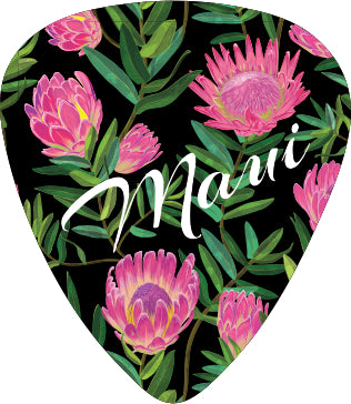 Protea BLK