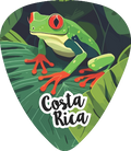 Red Eye Frog